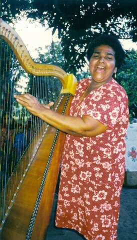 Aparecen representantes del camino marcado por las modificaciones de Andrés Huesca y Lino Chávez al son jarocho, como la Negra Graciana.