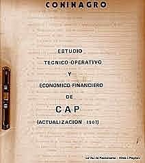 la Comisión de Administración Pública (CAP)