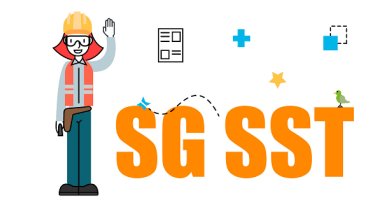 Sistema de Seguridad y Salud en el Trabajo