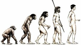Timeline: La evolución del ser humano