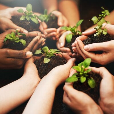 Timeline: Educación Ambiental en Colombia