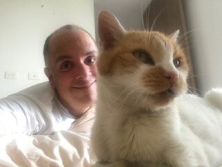 I don´t like a cat!..Didn´t I?