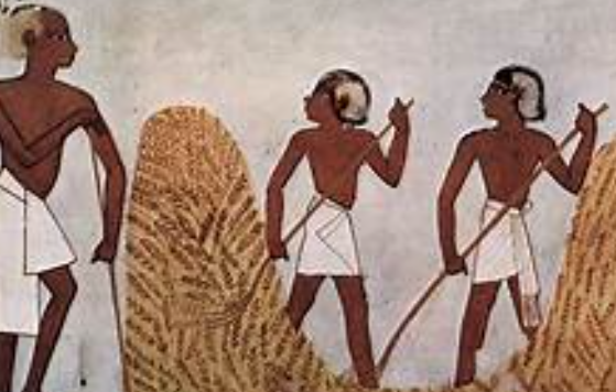 small farmers demand changes