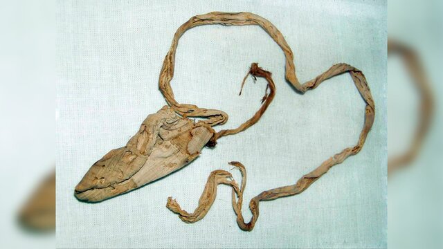 Popularización de Métodos Anticonceptivos.