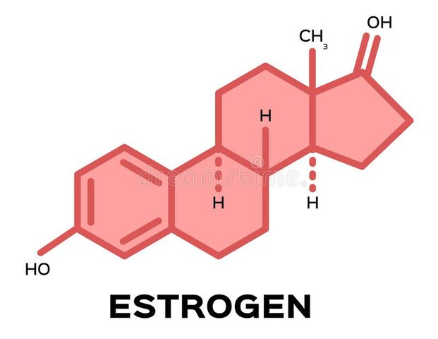 Se describe la estructura química de los estrógenos.