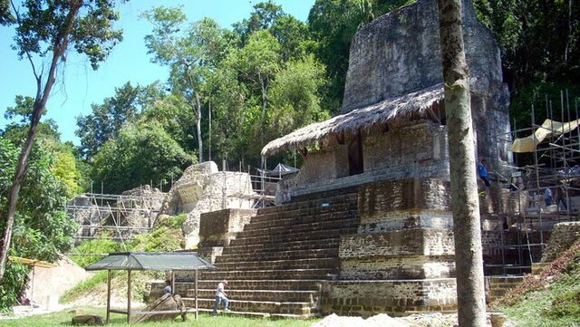 Mayas