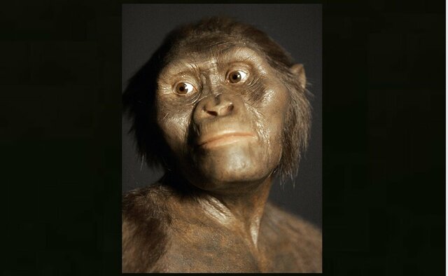 Australopitecos afarensis