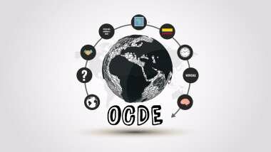 OCDE elabora un diagnóstico de la situación educativa de México