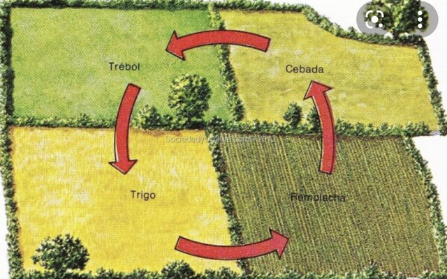 Rotación trienal en agricultura