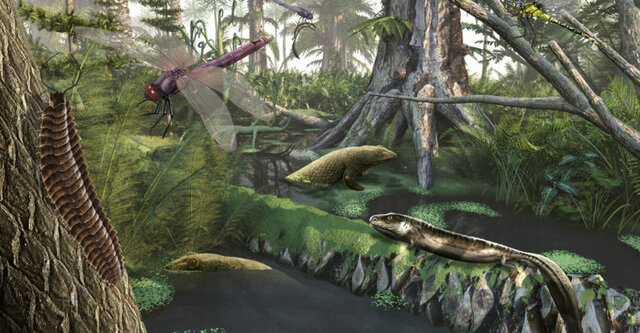 Aparición de vida animal en tierra