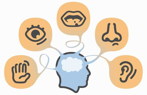 Web 5.0: Web sensorial