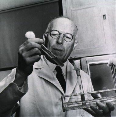 CONCEPTO SEGÙN RENÈ DUBOS (Edad Contemporánea)