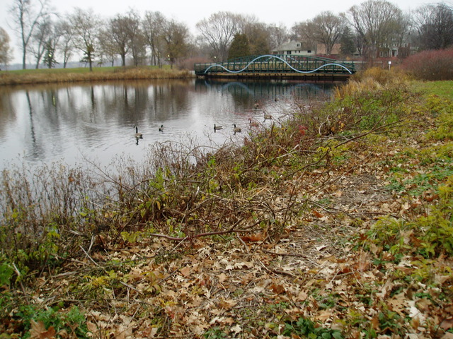 Southwest Lake Calhoun Wetland Ponds Project