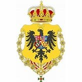 Carlos is elected king of Romans