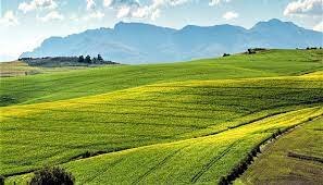 Rotación trineal de agricultura