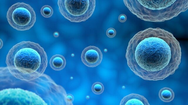 Descobriment de la cèl·lula