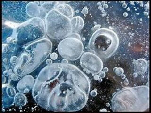 Primeres formes de vida