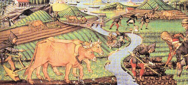 Inizia la rivoluzione agricola