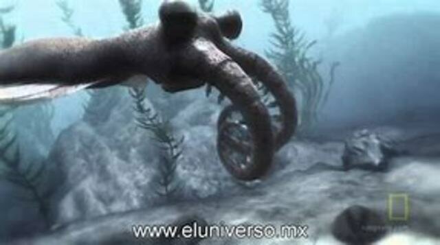 Primeres formes de vida