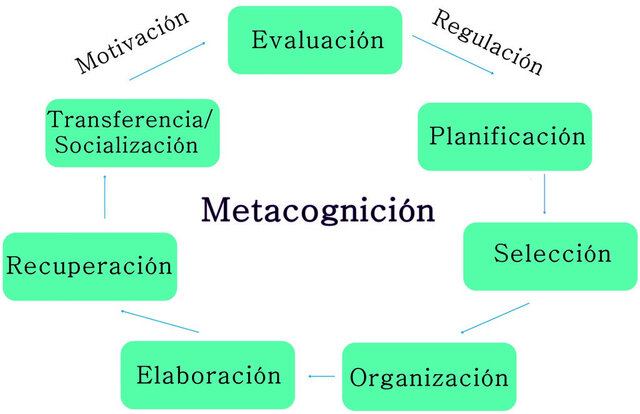 las neurociencias proporcionan una explicación científica de los procesos de aprendizaje, constituyen una nueva y prometedora área de estudio para responder a las preguntas