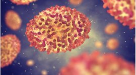 Timeline: La viruela