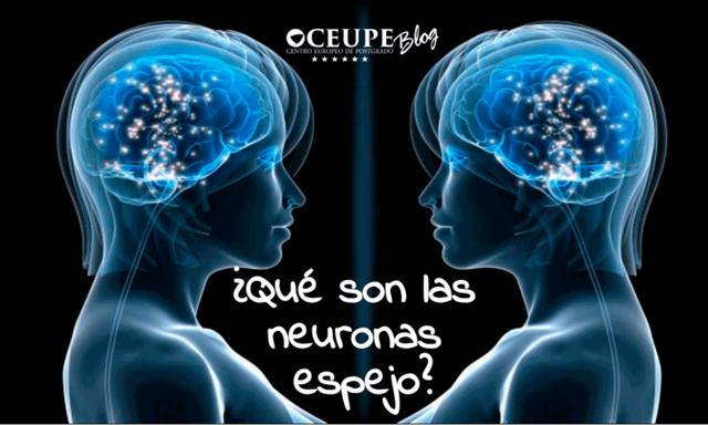 Neuronas espejo y el aprendizaje