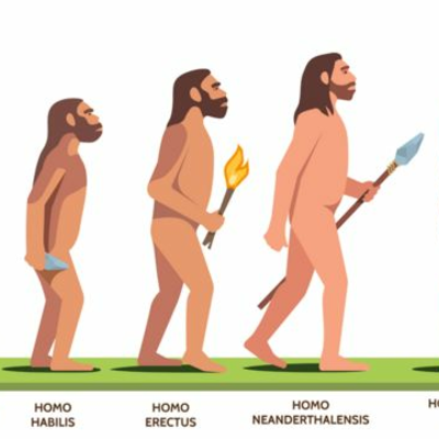 Timeline: Historieta producto integrador