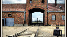 Timeline: Shelgree TMTT Timeline