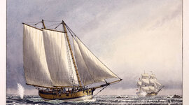 Timeline: Hannah VS Nautilus