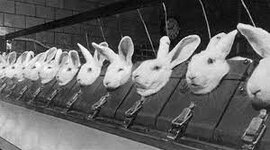 Timeline: TENDENCIA AL REEMPLAZO DE ANIMALES DE EXPERIMENTACIÓN