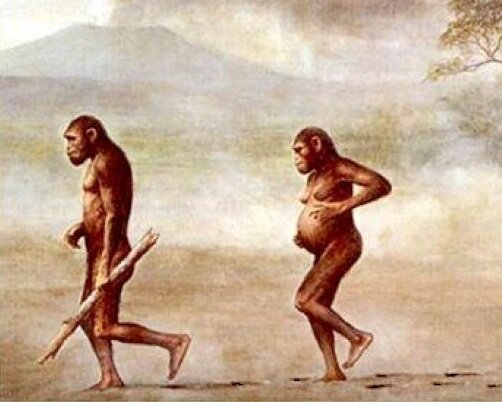 Orrorin tugenensis. Bipedismo