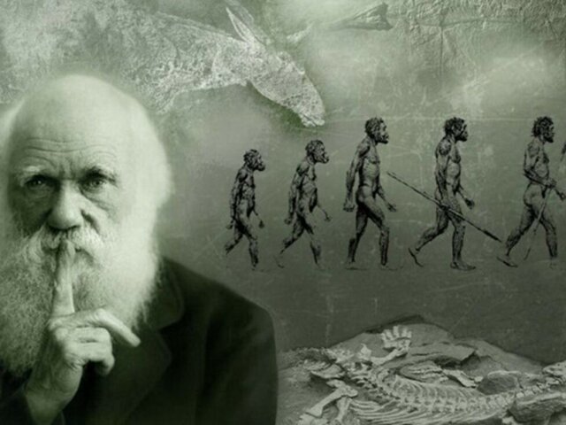 Teoría de la Evolución