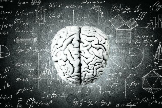 Comprensión numérica según la Neurociencia