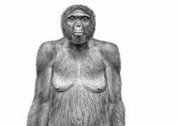 Última abuela común de humanos y chimpancés