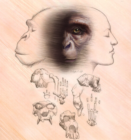 Revolución cognitiva