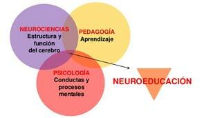 El término Neuroeducación, Neurodidáctica o Neuropedagogía surge en 1988