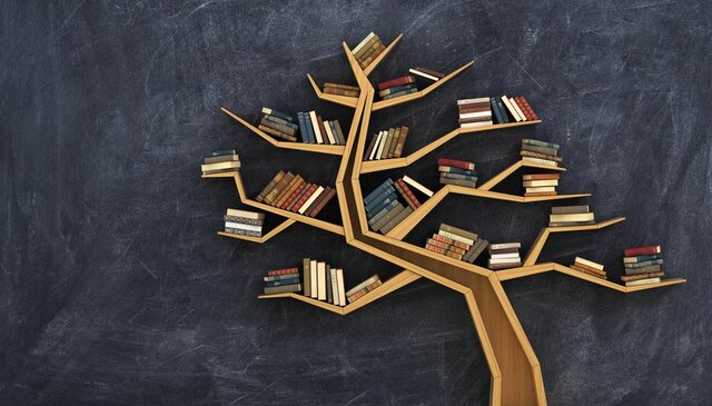 First class in the University - Univalle|