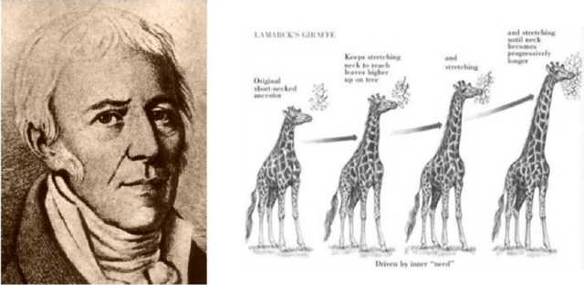Lamarck