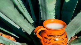 Timeline: Producción pulquera