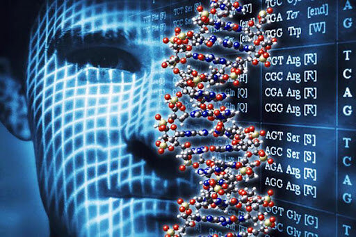 Aplicación de la informática en más ámbitos