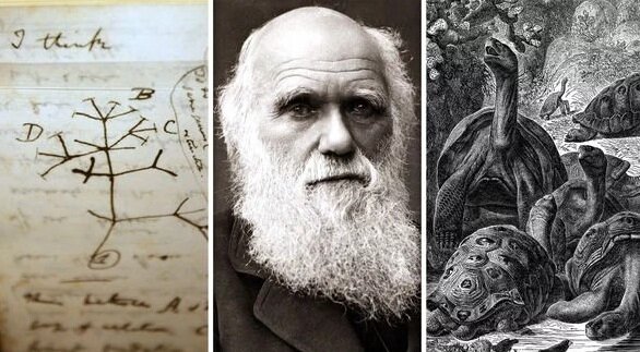 El Origen de las Especies