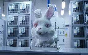 Toxicologo John Draize