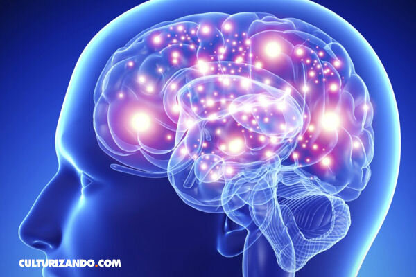 Autores como Wolfe (2001)