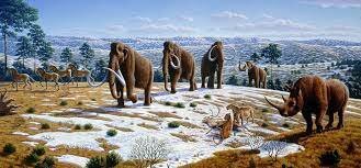 Los sapiens colonizan América. Extinción de la megafauna americana.