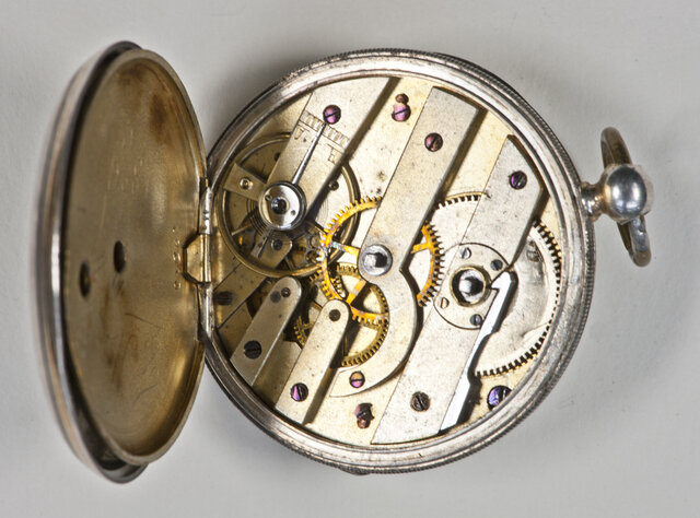 Los organismos son cada vez más modelados por el diseño inteligente que por la selección natural.