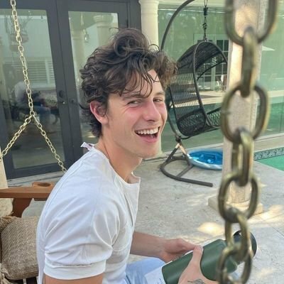 Persona que admires: Shawn Mendes