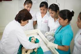 PLAN DE ESTUDIOS DEL PROGRAMA DE MAESTRIA DE ENFERMERIA