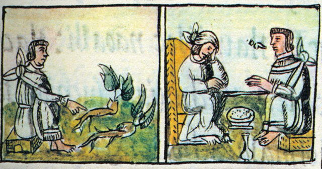 Catarro Pestilencial