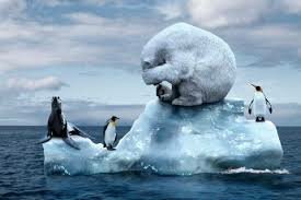 Recalentamiento global- Siglo XX