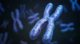 Timeline: Desarrollo de la Genética